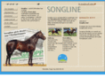 songline.se