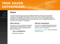 truesilverenterprises.com