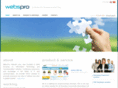 webs-pro.com