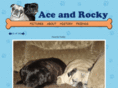 aceandrocky.com