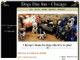 dogsdayinn.net