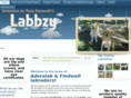 labbzy.com