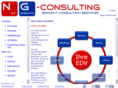 ng-consulting.biz
