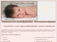 thebabynursedirectory.com
