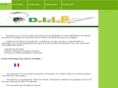 diip-online.com