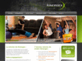 kinergex.com