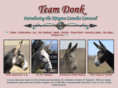 teamdonk.org