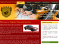 triglobalfinancial.com