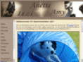 agilityhund.com