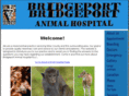 bridgeportanimal.com