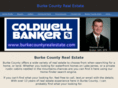 burkecountyrealestate.com
