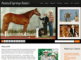 paintedspringspaints.com