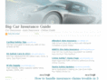 bigcarinsuranceguide.com