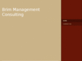 brimmanagementconsulting.com