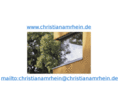christianamrhein.de
