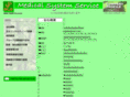 mss-g.com