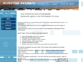 bluestoneabstract.com