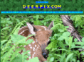 deerpix.com