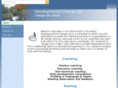 developmentalchange.com