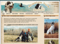 mountainviewkennels.com