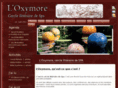 oxymore.be