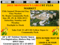 stregismtflea.org