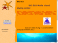 bigblumafia.com