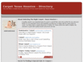 carpettexashouston.com
