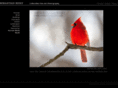 sreistphotography.com