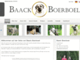 baack-boerboel.com