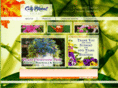 cityfloralgreenhouse.com