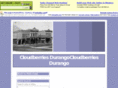 cloudberries.net