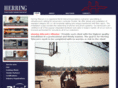 herringtelecom.com