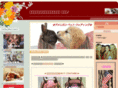 jc-pet.com