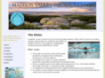 mvacdivein.org