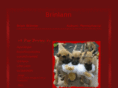 brinlann.com