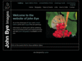 johnbye.com