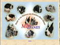 mddanes.com