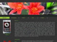 17pixels.com