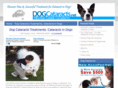 dogcataracts.net