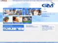 gm-equipment.com