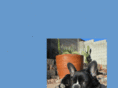 justwannafbd.com