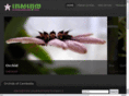 kesorkol.com