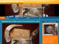 shepherdsinisrael.com
