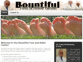 bountifulfootandankle.com