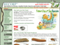 butterworm.com