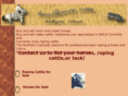 heelhorse.com