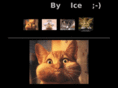 ice7.com