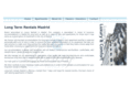 longtermrentalsmadrid.com