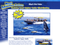 mauiadventurecruises.com